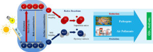 Mechanism Of Photolysis