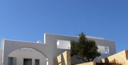 Olive Trees Cherished 1024x755