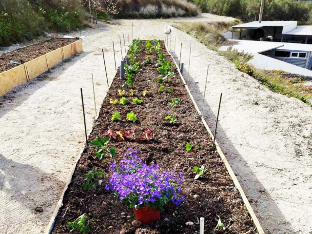 Sd Garden 1 