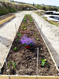 Sd Garden 1