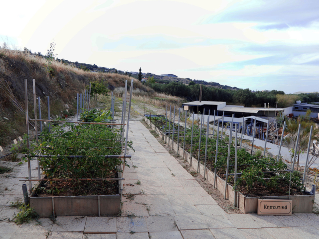 Sd Garden 2