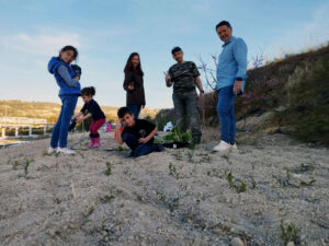 Sd Gardering 2