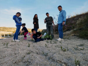 Sd Gardering 2