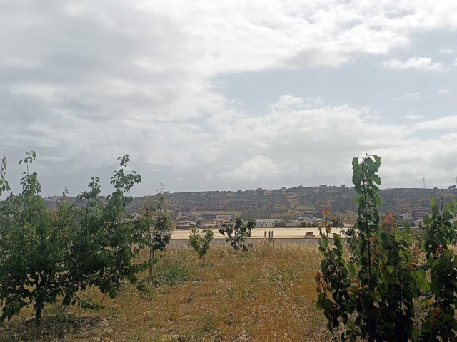 Sd Trees 1